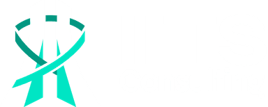 IITS Consulting